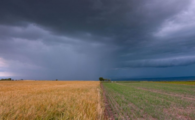Chance de El Niño muito forte entre outubro e dezembro chega a 95%, diz agência climática dos EUA