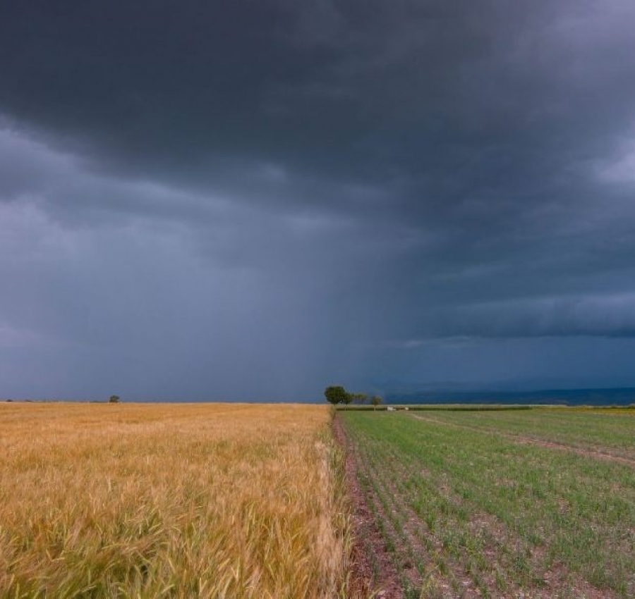 Chance de El Niño muito forte entre outubro e dezembro chega a 95%, diz agência climática dos EUA