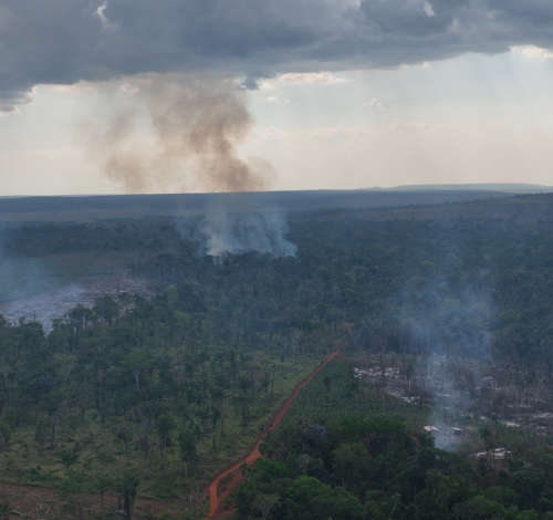 Novo Mundo reforça combate a incêndios e leva brigadistas para assentamentos rurais