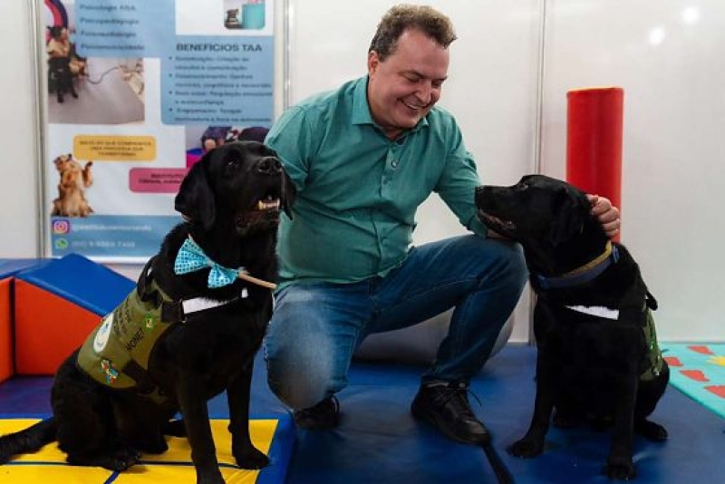 Max Russi propõe censo de cães e gatos em Mato Grosso a cada cinco anos