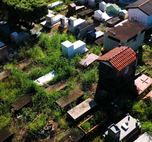 O lixo, o mato, a depredação: Cemitério Municipal de Peixoto de Azevedo começa a ser revitalizado