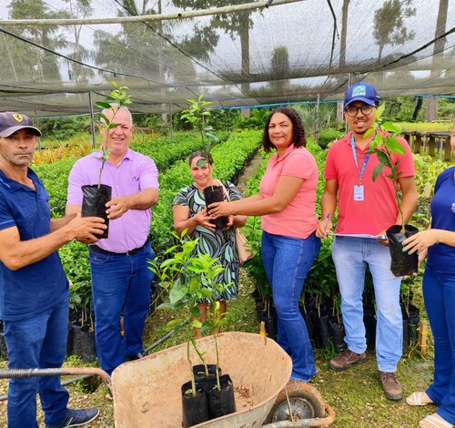 Carlinda inicia entrega de 8.400 mudas de citrus para produtores rurais