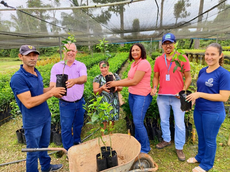 Carlinda inicia entrega de 8.400 mudas de citrus para produtores rurais