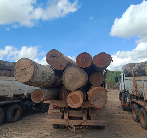  Gestão Municipal Avança com Responsabilidade Mesmo Sob Ataques Políticos