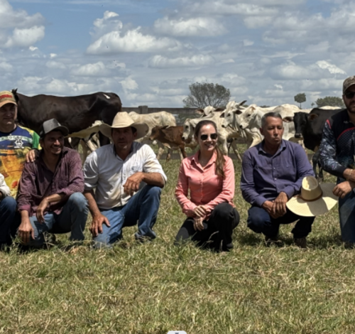 Leilão Beneficente em Novo Mundo - MT acontece neste domingo (25) em apoio ao Hospital de Câncer de Mato Grosso