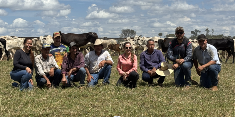 Leilão Beneficente em Novo Mundo - MT acontece neste domingo (25) em apoio ao Hospital de Câncer de Mato Grosso