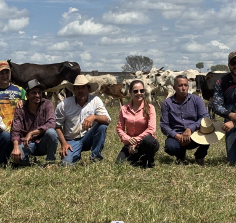Leilão Beneficente em Novo Mundo - MT acontece neste domingo (25) em apoio ao Hospital de Câncer de Mato Grosso