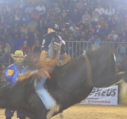 Maicon Rodrigues, o “Coquinho”, conquista título de campeão no Guarantã Rodeio Show 2025 com montaria histórica