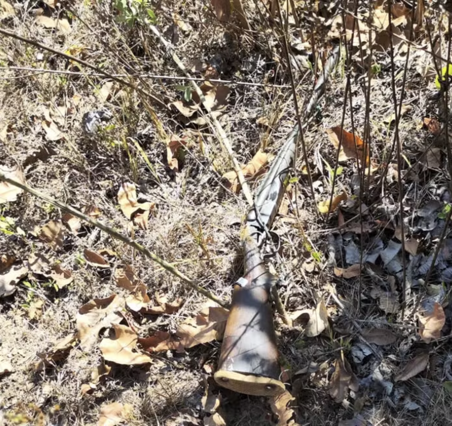 Casal morre e neto fica ferido após disparo acidental durante caçada