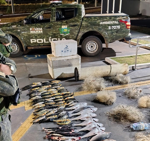 Operação da Polícia Militar Ambiental apreende 157 peixes ilegais no rio Telespires, em Itaúba