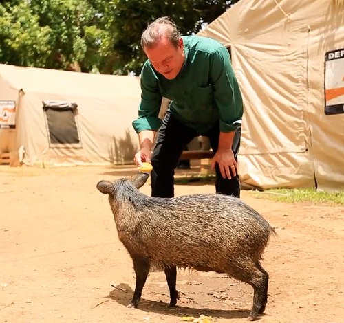Estatuto do Pantanal garante regras específicas para conservação e desenvolvimento sustentável do bioma
