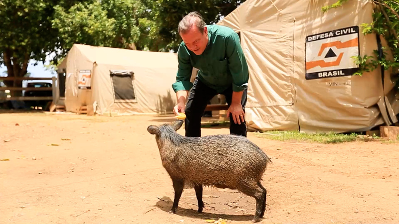 Estatuto do Pantanal garante regras específicas para conservação e desenvolvimento sustentável do bioma