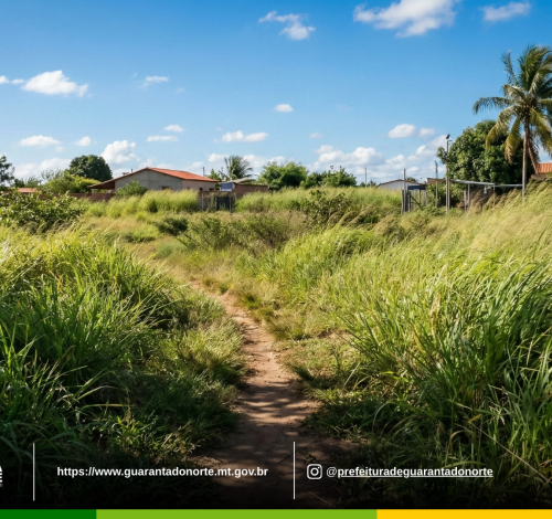 Setor de Tributação intensifica fiscalização de terrenos sujos e reforça a importância da colaboração da população