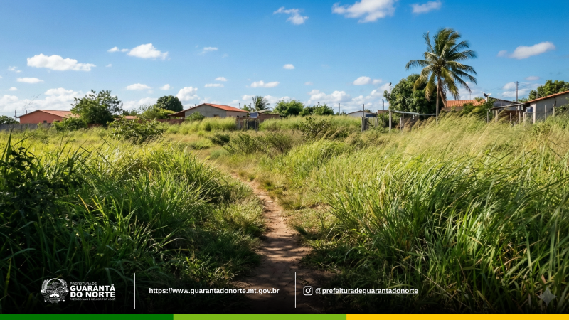 Setor de Tributação intensifica fiscalização de terrenos sujos e reforça a importância da colaboração da população