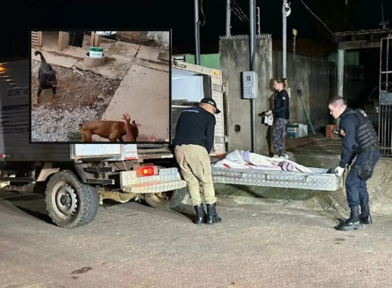 Idosa de 76 anos é atacada pelos próprios cães e morre
