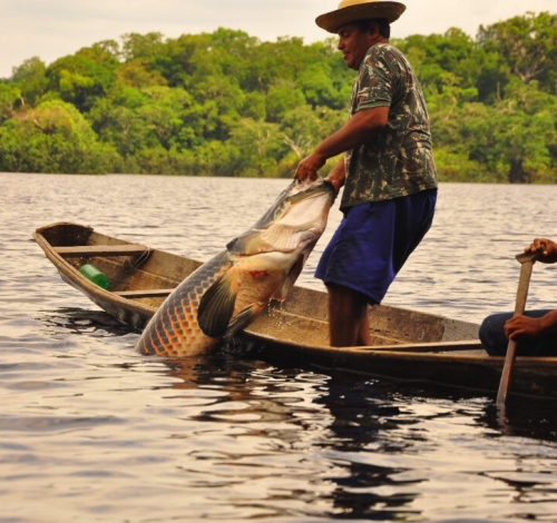 Mais de 400 pescadores do Nortão podem perder suas carteiras