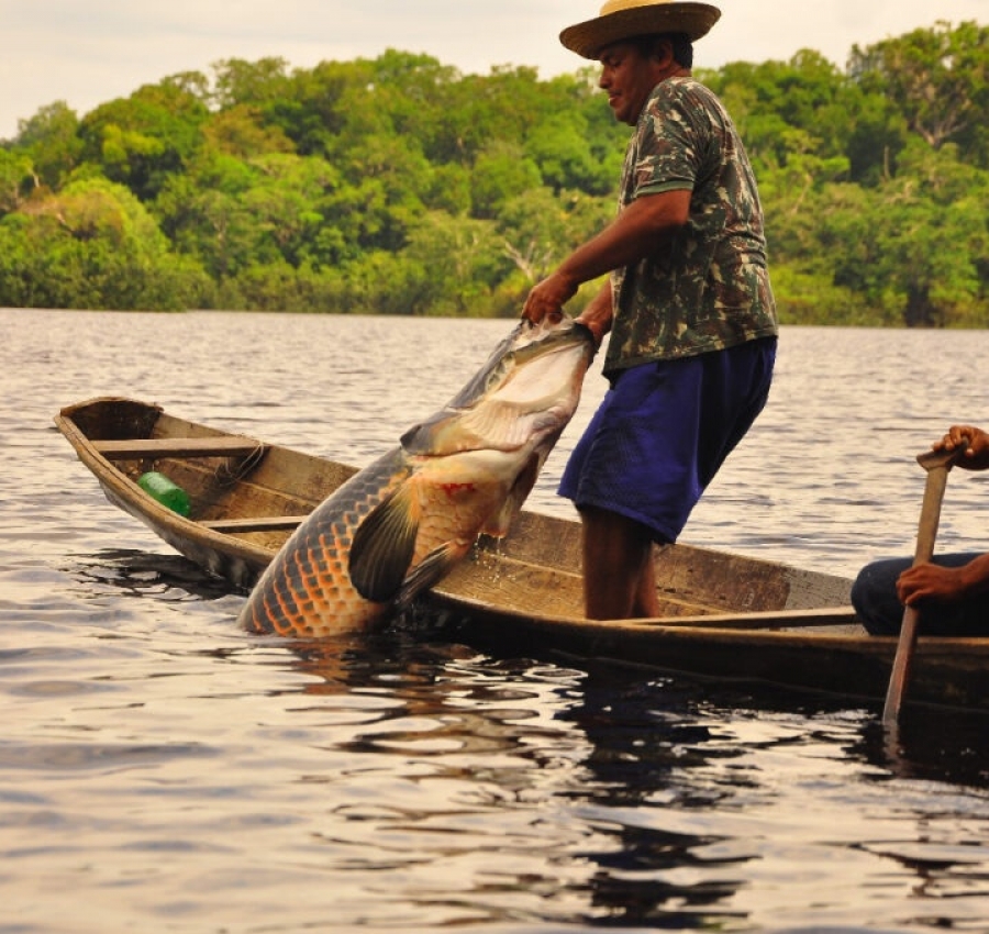 Mais de 400 pescadores do Nortão podem perder suas carteiras