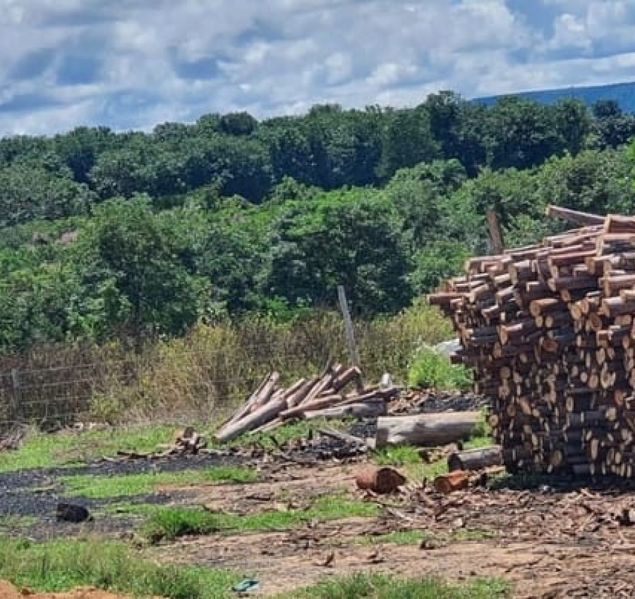 Polícia Federal resgata doze homens de trabalho análogo à escravidão em carvoaria de MT