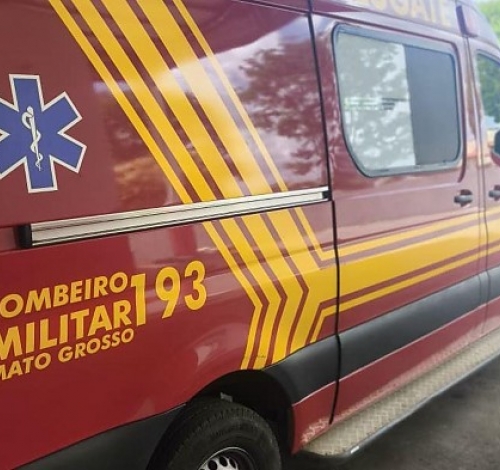 Escorpiões em alta em MT: Corpo de Bombeiros detalham principais riscos e como se proteger