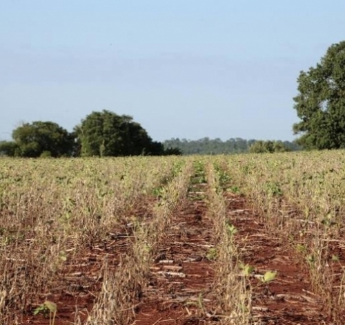 Julho terá temperaturas elevadas e chuvas desiguais, prevê o Inmet