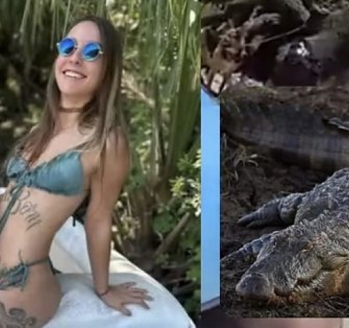 Mulher é atacada por jacaré gigante, tem os braços arrancados e morre após ser resgatada