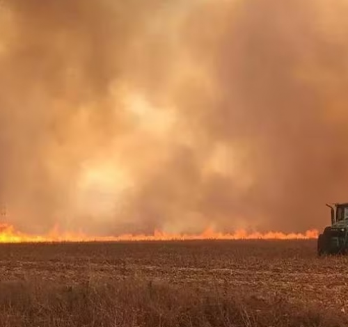 Governo já debate possíveis impactos de El Niño forte no agro