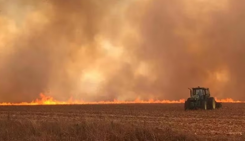 Governo já debate possíveis impactos de El Niño forte no agro