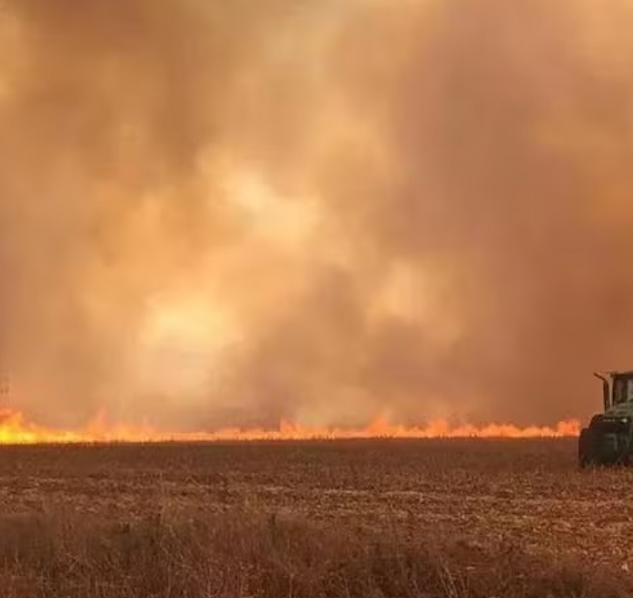 Governo já debate possíveis impactos de El Niño forte no agro